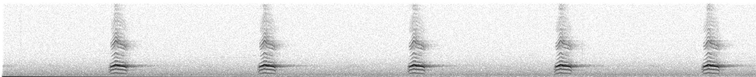 Hooded Tinamou - ML644664770