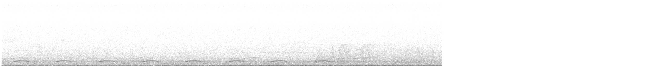 Wonga Pigeon - ML644664877