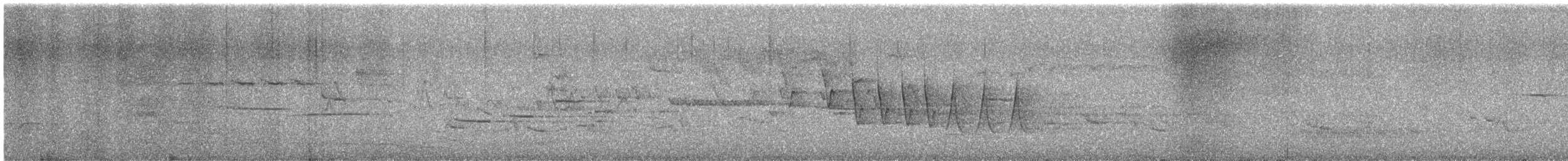 Northern Waterthrush - ML644664922