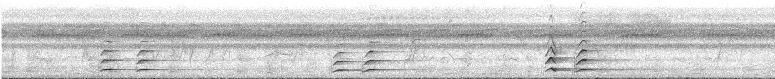 Tucán Pechiblanco - ML644665018