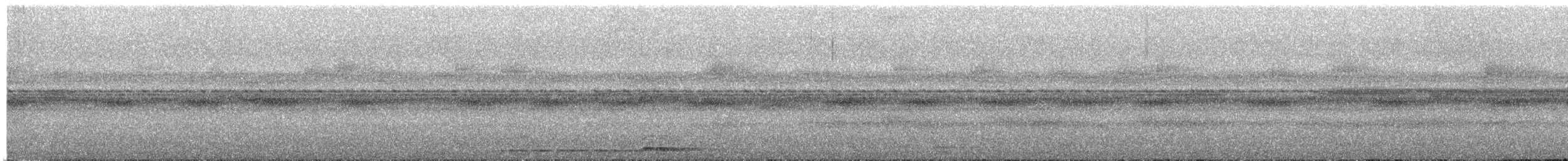 Tropical Screech-Owl - ML644665020