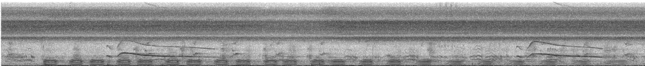 Avetigre Colorada - ML644665024