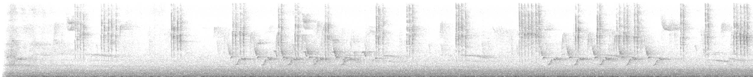 フユミソサザイ - ML644665045