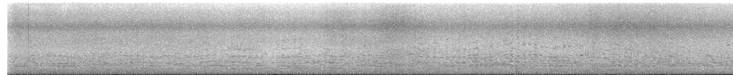 Fou austral - ML644665579