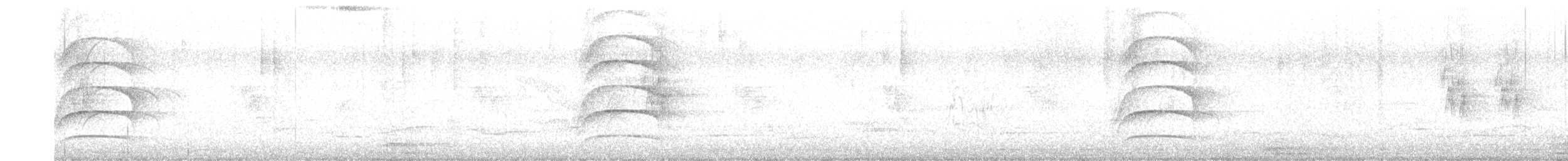 Great Kiskadee - ML644666527