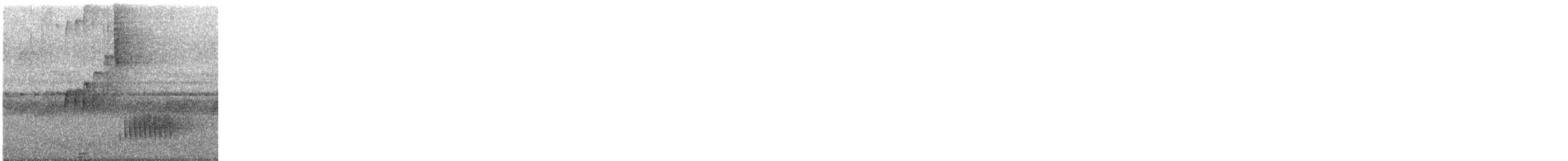 Bay Wren - ML644666727