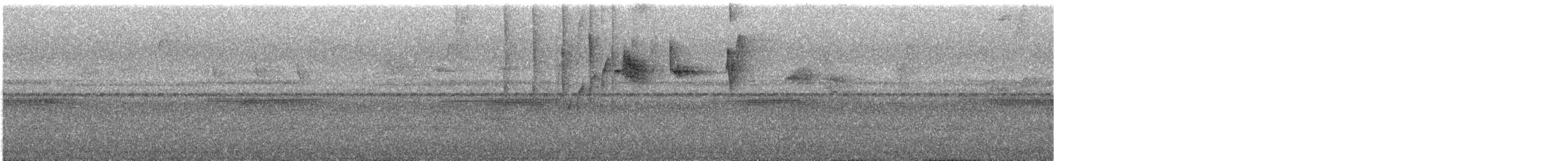 Rufous-tailed Hummingbird - ML644666939