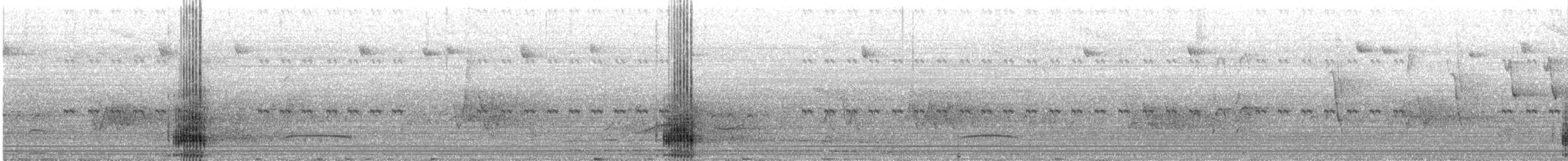 Toco Toucan - ML644667041