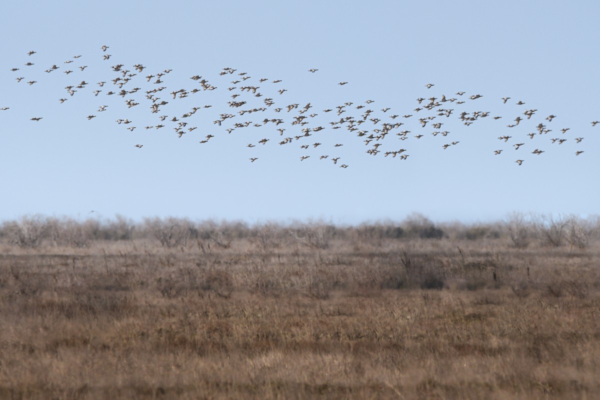 drop malý - ML644667349