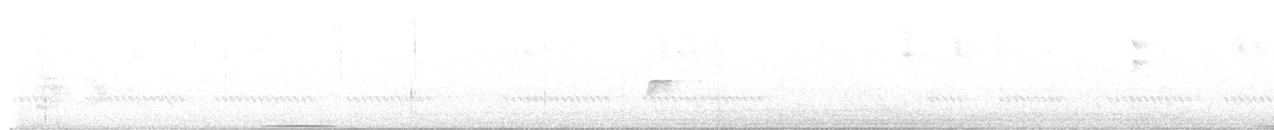 Paloma Perdiz Gorjiblanca - ML644667425