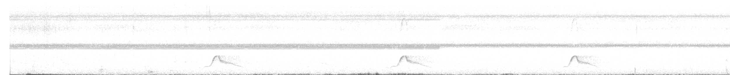 Common Pauraque - ML644667670