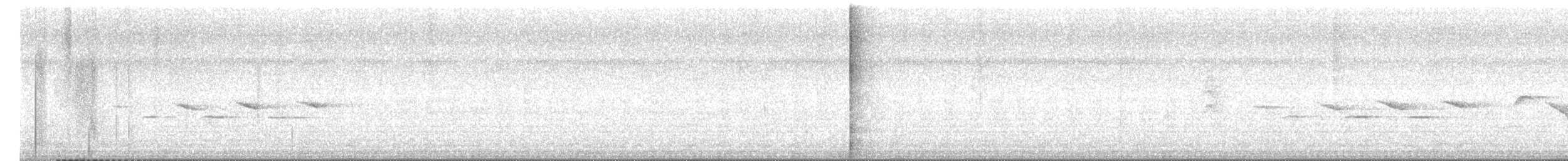 Morelet Tohumculu - ML644668363