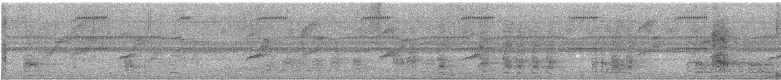 rødflekkparakitt - ML644669216