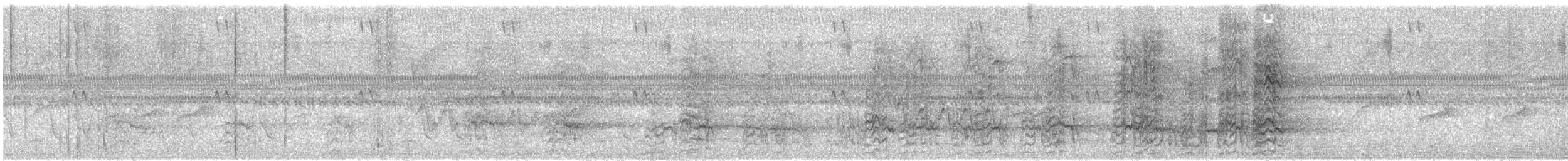 rødflekkparakitt - ML644670052