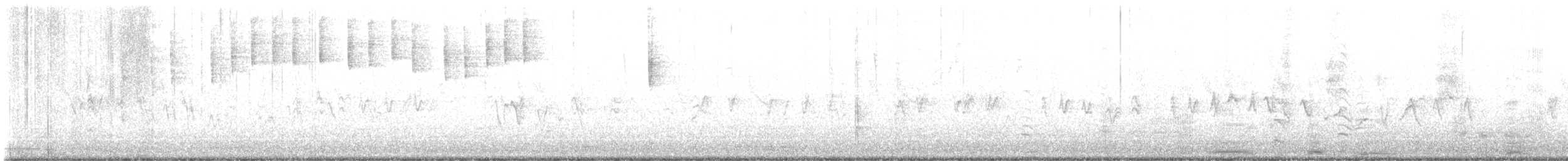 Chingolo Cantor - ML644670930