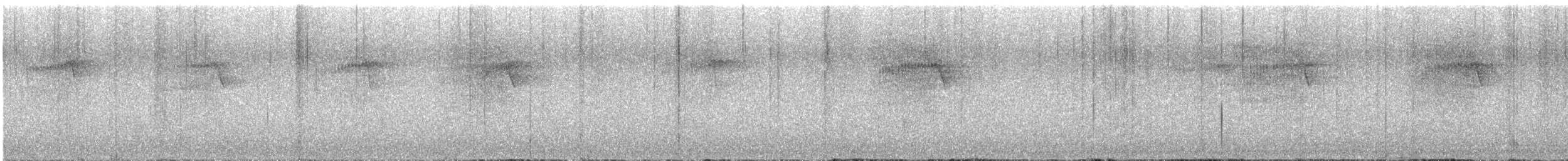 Tasmanian Boobook - ML644671567