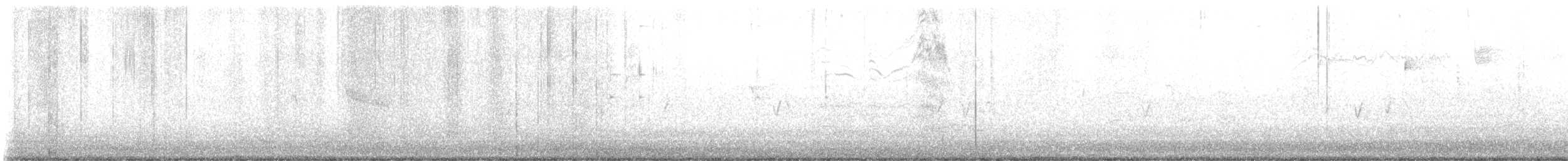 Townsend's Warbler - ML644671694