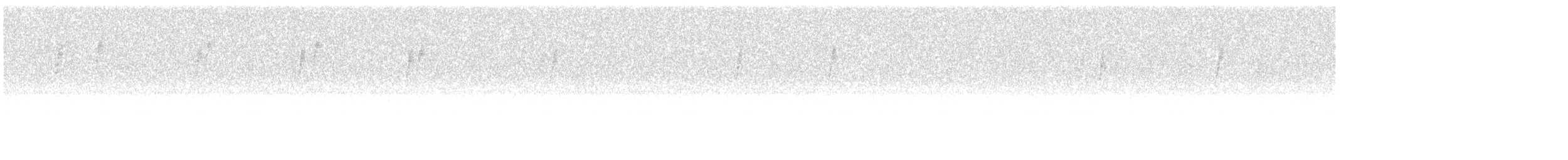 Paruline couronnée - ML644671971