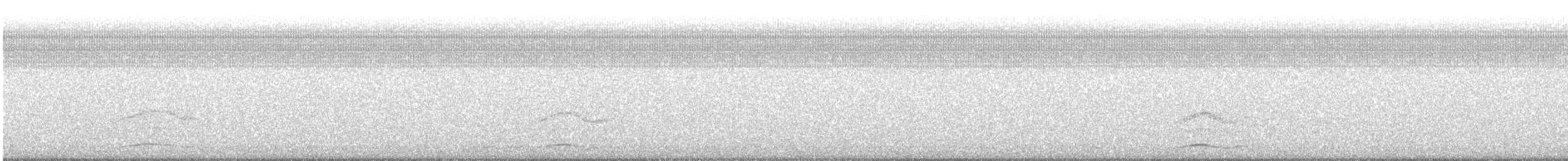 Northern Lapwing - ML644672678