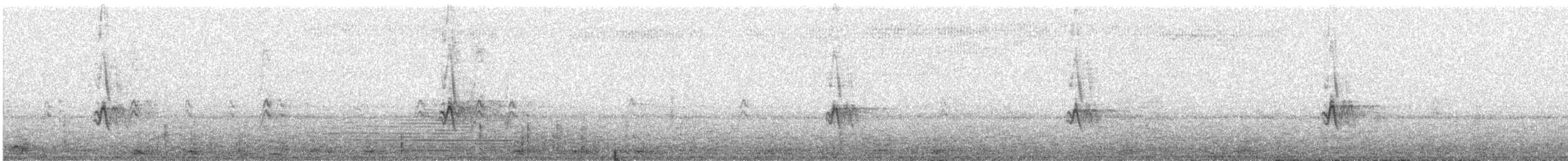 House Finch - ML644673072