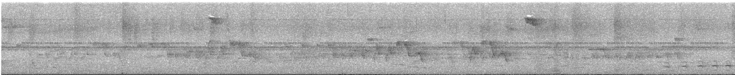 Two-banded Warbler - ML644673282