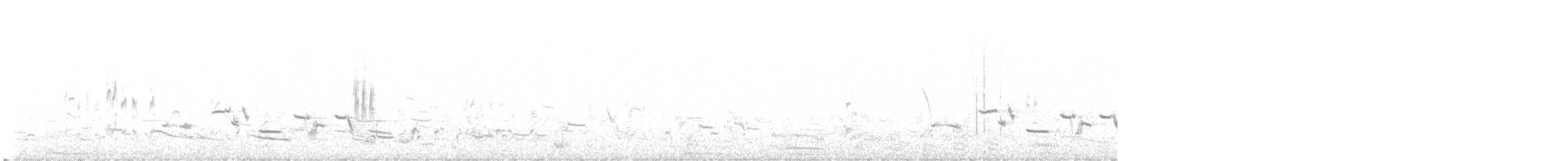 Украшенный подорожник - ML644673314