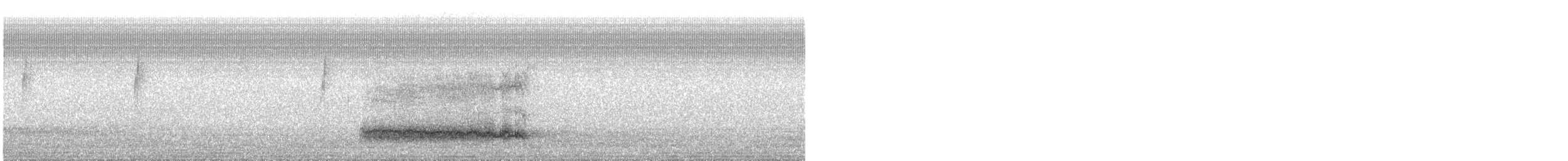 Western Barn Owl - ML644673585