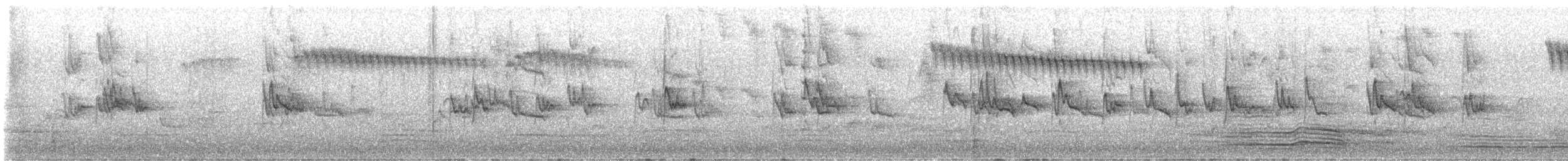 Silvereye - ML644673683