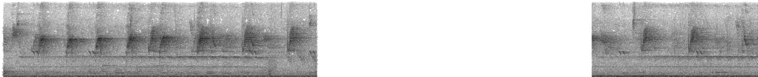 Nariño Tapaculo - ML644674298