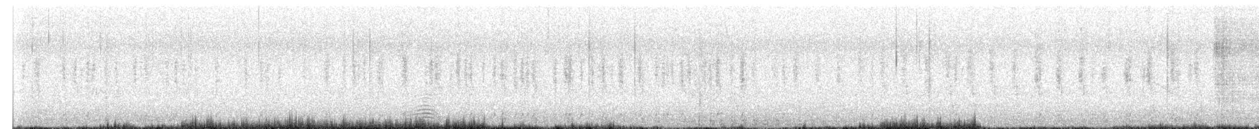 Australasian Shoveler - ML644674474