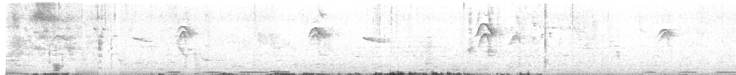 West Peruvian Dove - ML644674530