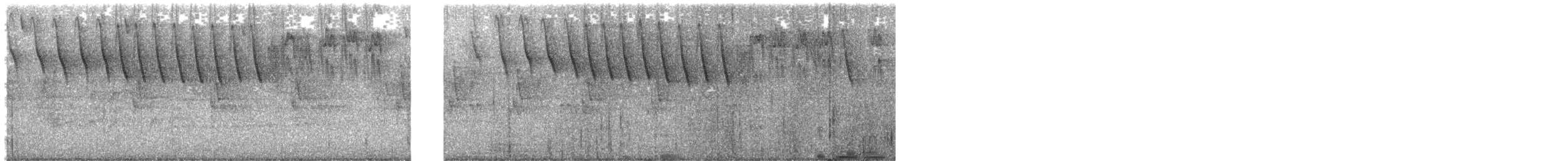 Bananaquit - ML644674614