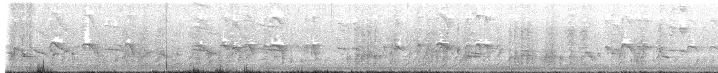 Zanate Mexicano - ML644674770