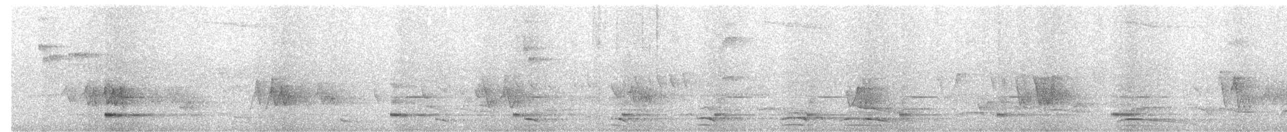 Collared Forest-Falcon - ML644674899