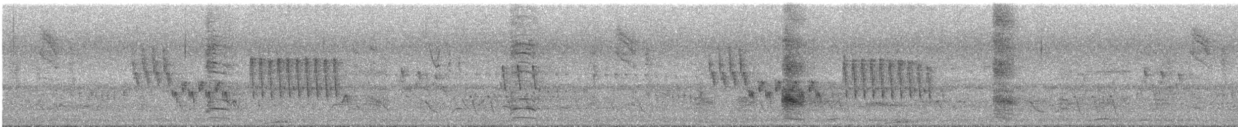 Southern House Wren - ML644675022