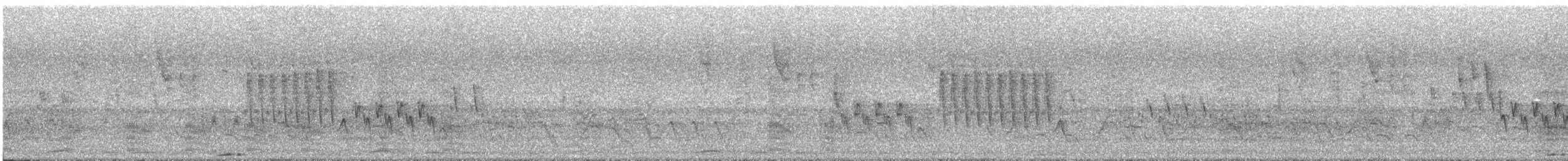 Southern House Wren - ML644675206