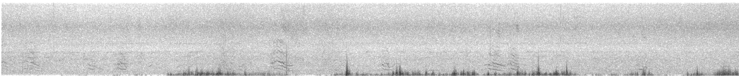 Amazona Frentiazul - ML644675528