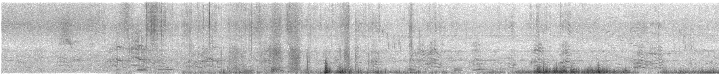 Amazona Frentiazul - ML644675641