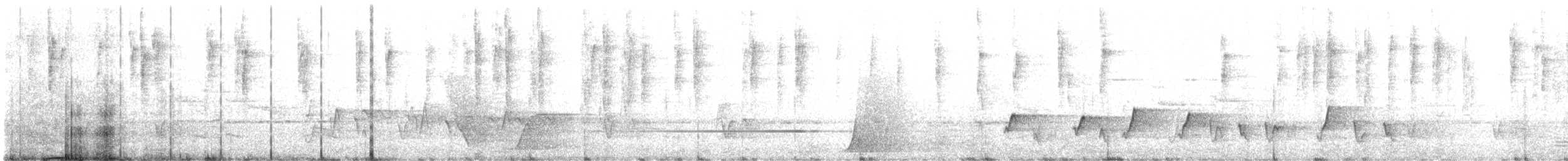 Striated Thornbill - ML644676117