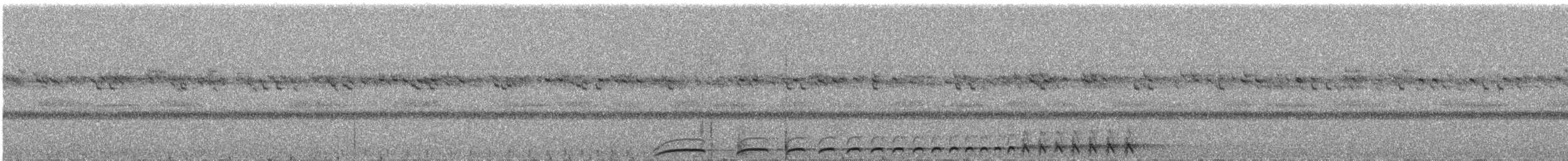 Chotacabras Bigotudo - ML644676238