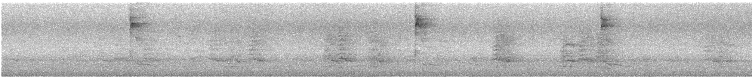 Red-necked Woodpecker - ML644676270