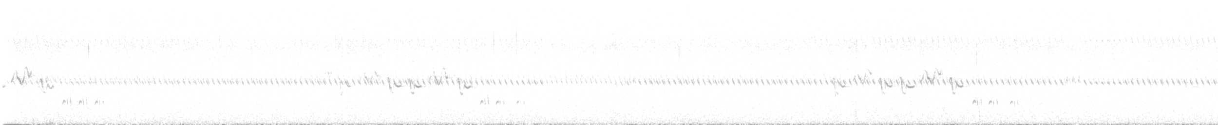 Shy Heathwren - ML644676469