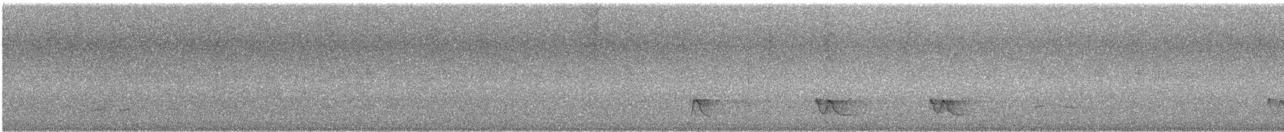 Yungas Manakin - ML644676477