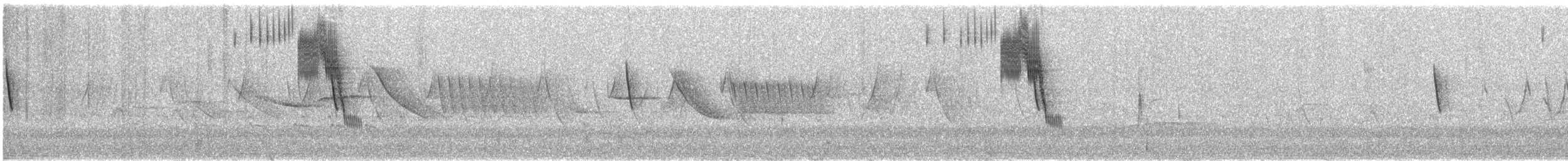 Blue-black Grassquit - ML644676511