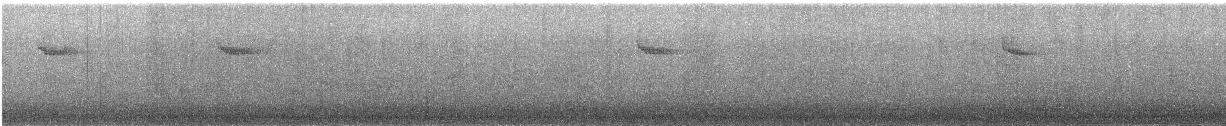 amerikatrekryper - ML644676891