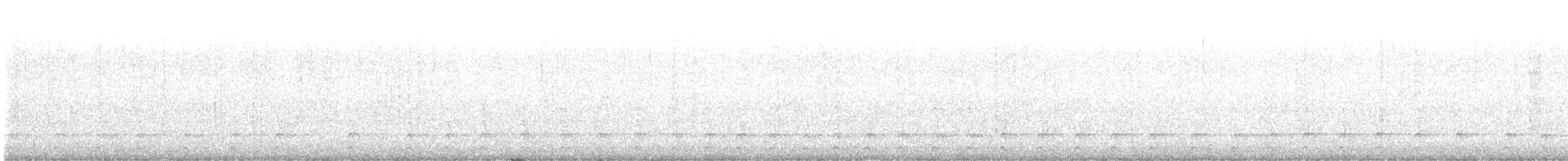 datel chocholatý - ML644677068