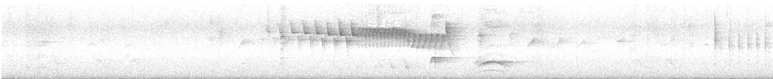 gråhodetreløper - ML644677246