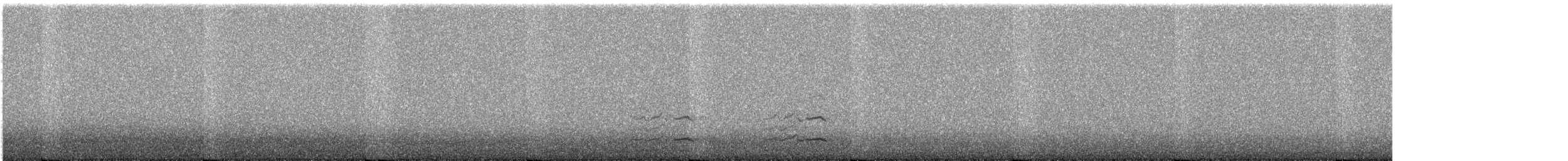 Wood Duck - ML644677278