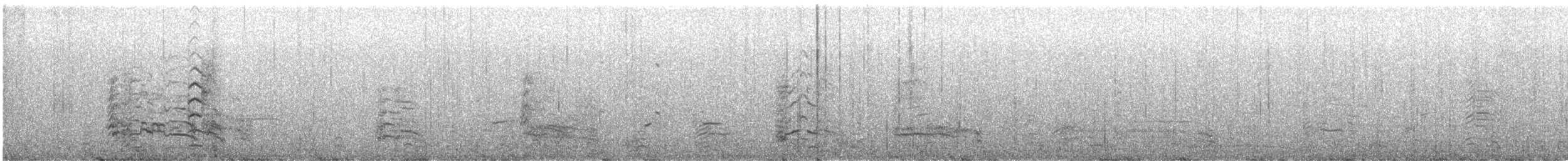 ringnebbmåke - ML644677426