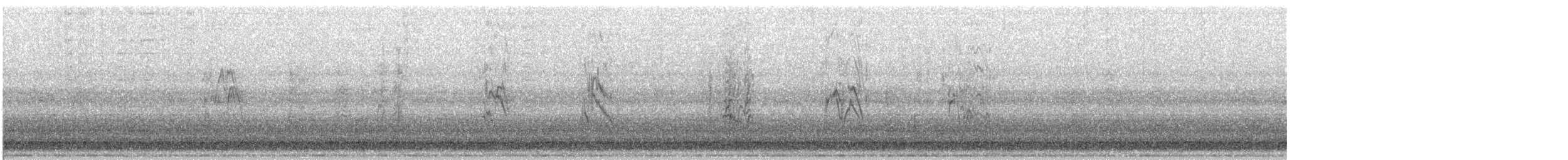 Pine Siskin - ML644678205